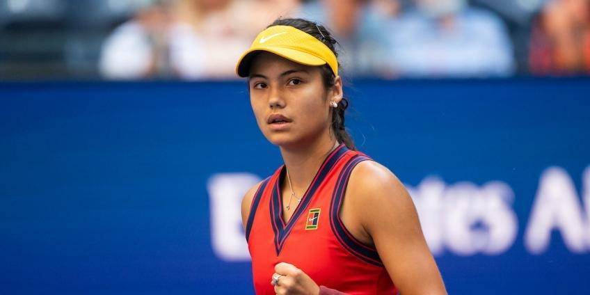 了一个全新 了一个全新